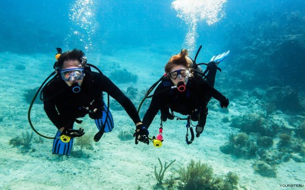 Скуба-дайвинг, Scuba-Diving погружение