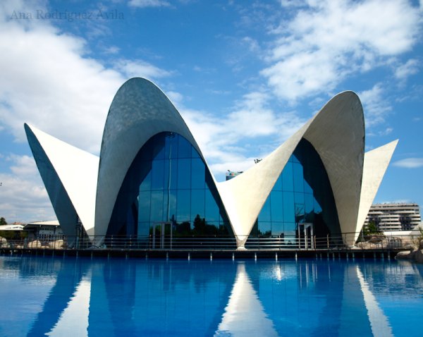 Сидней архитектурная Бионика