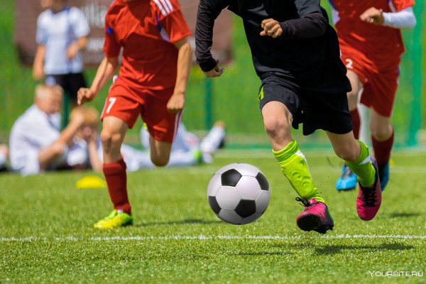 Вид спорта футбол