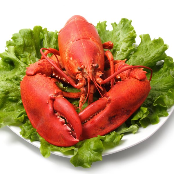 Морепродукты Омар лангуст