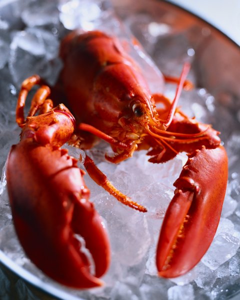 Морепродукты Омар лангуст