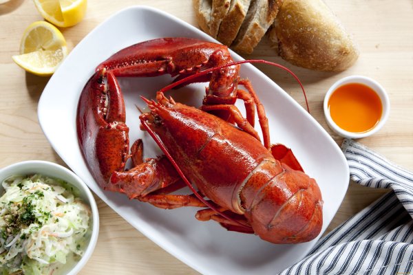 Морепродукты Омар лангуст