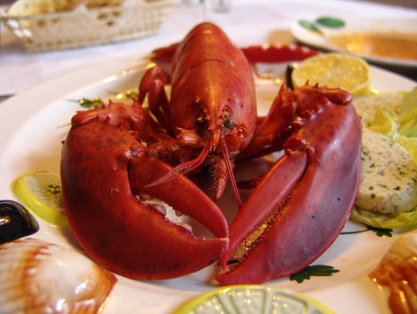 Морепродукты Омар лангуст
