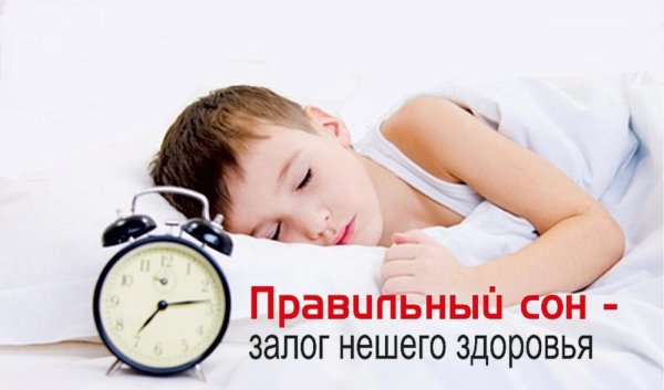 ЗОЖ сон