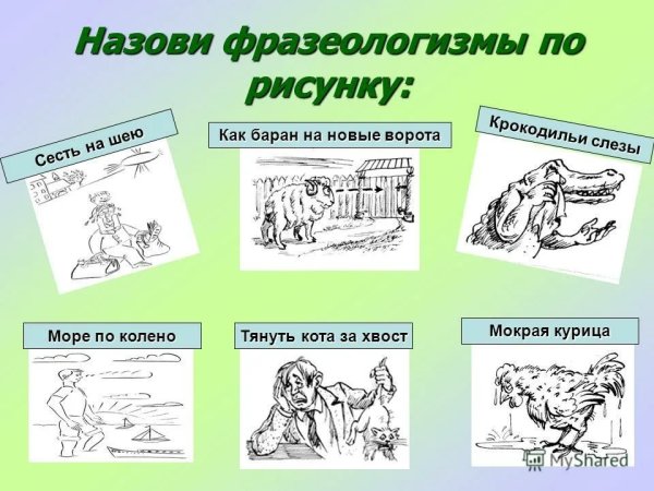 Фразеологизмы в картинках