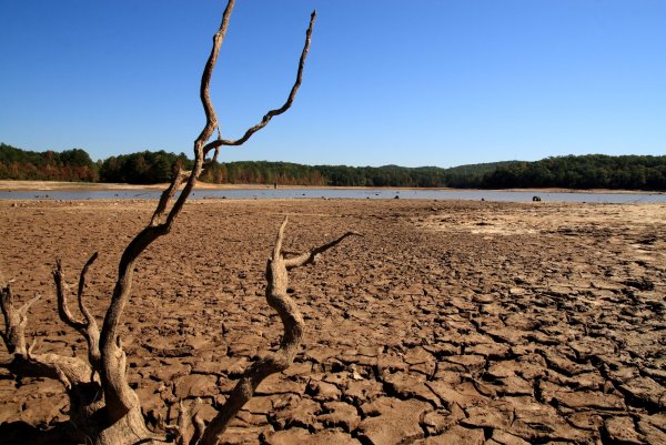 A drought – засуха