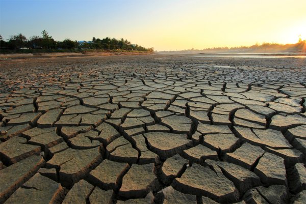 A drought – засуха
