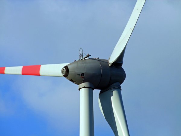 Rotor of Wind Turbine
