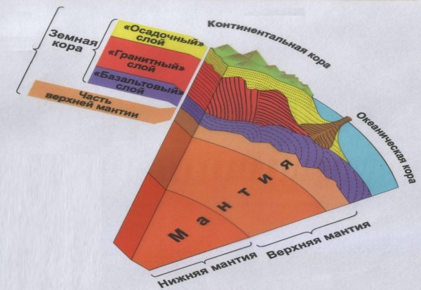 Земная кора строение земной коры