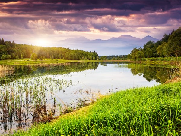Природа речка