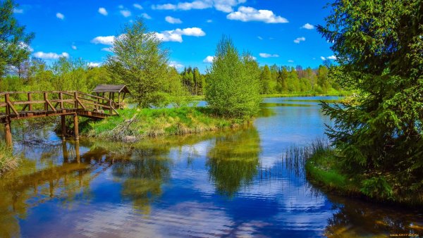 Пейзаж с рекой