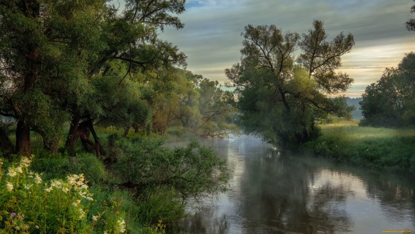 Картина Излучина реки Истра