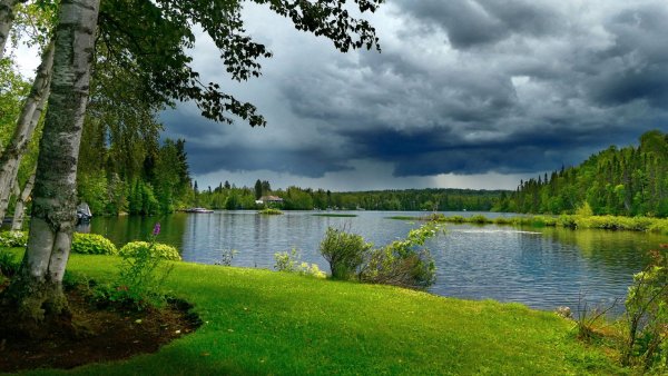 Пейзаж лес река берег