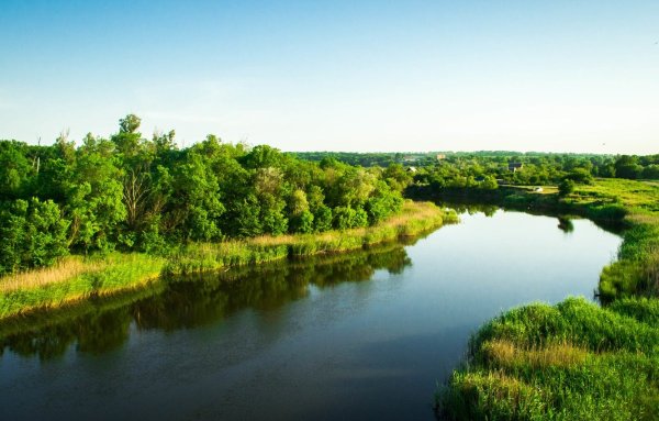 Самара (приток Волги)