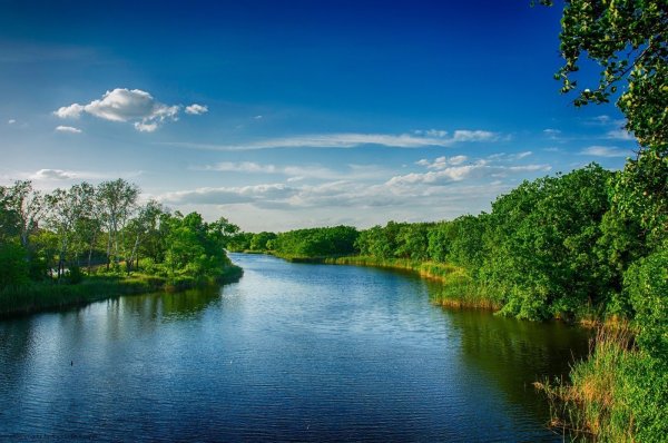 Самара река Самарка