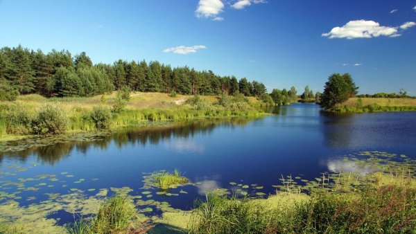 Река Дубна Талдомский район