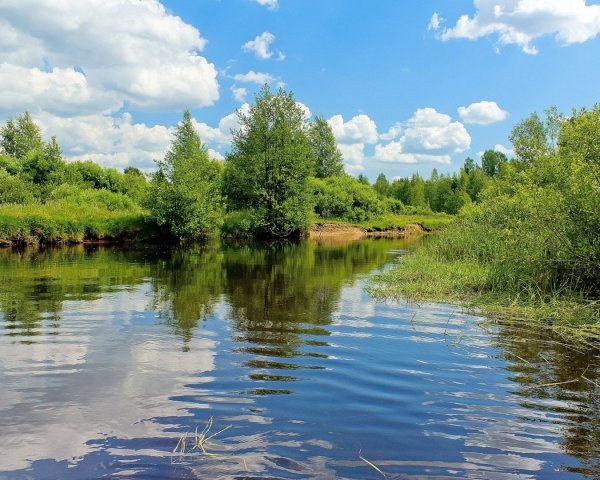 Река пыча