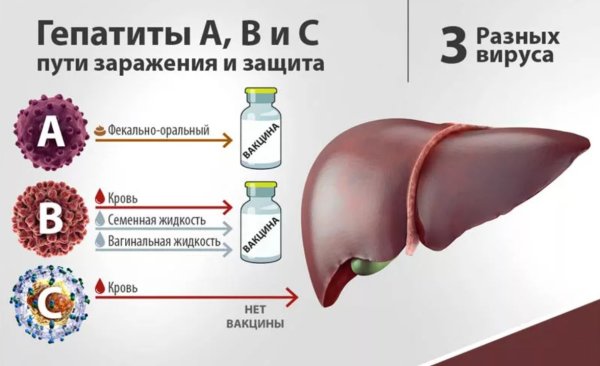 Гепатит а симптомы у детей пути передачи
