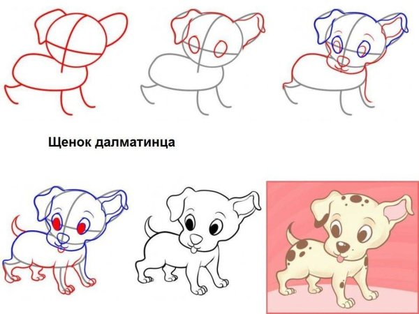 Пошаговый рисунок собаки