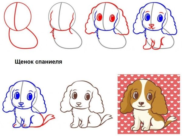 Поэтапное рисование собаки