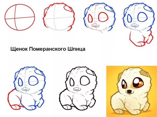 Рисунок собаки для срисовки легкие