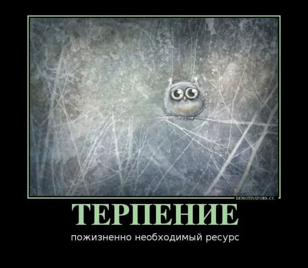 Терпение демотиватор