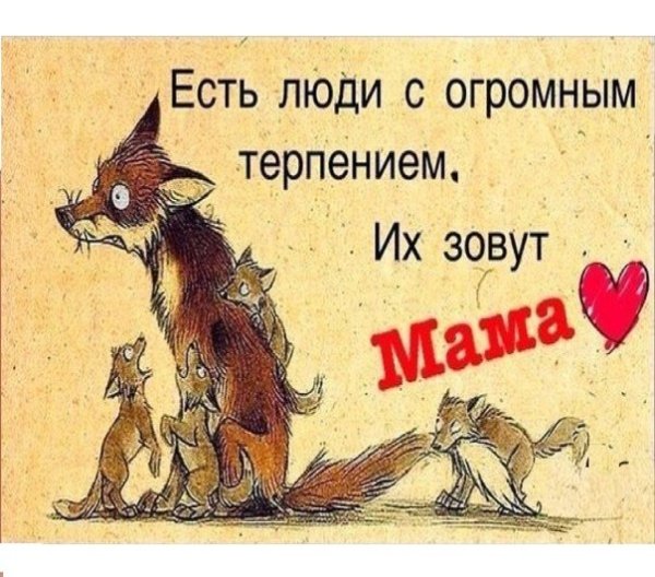 Терпение цитаты смешные