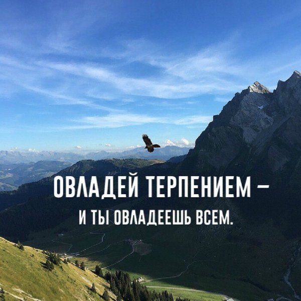 Фразы про терпение