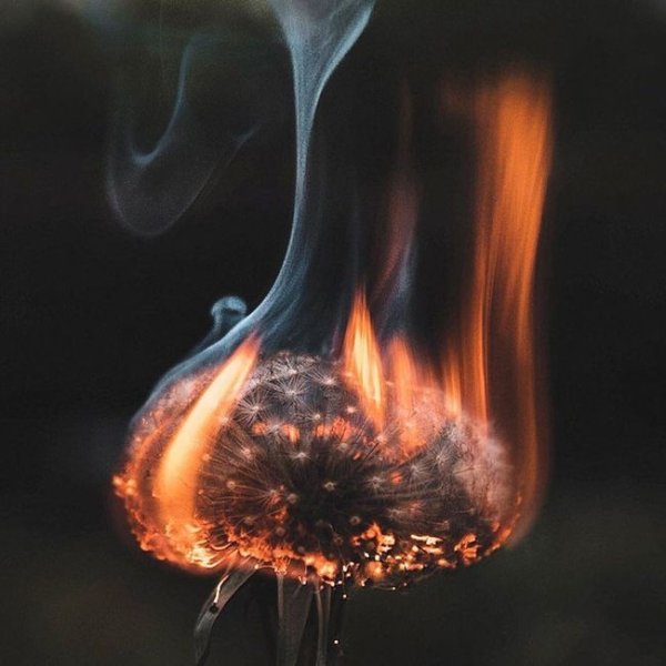 Терпение лопается