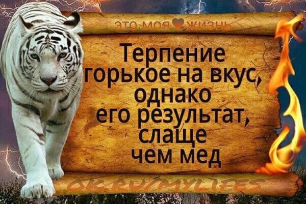 Терпение цитаты