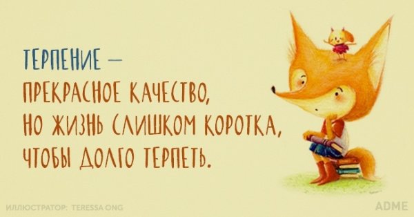 Смешные высказывания про терпение