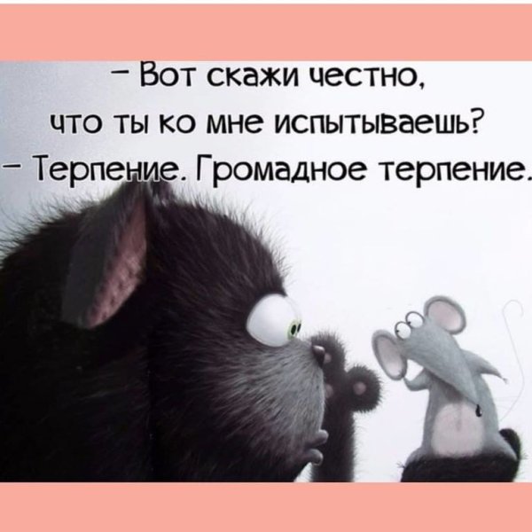 Фразы прикольные про терпение