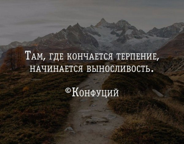 Афоризмы про терпение
