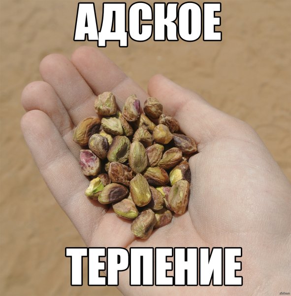 Смешное про терпение