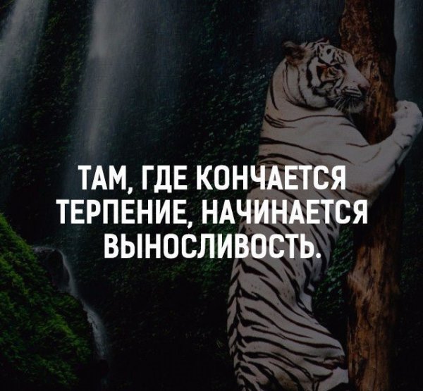 Там где заканчивается терпение начинается выносливость