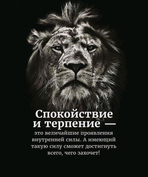 Спокойствие цитаты