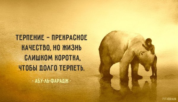 Мудрые мысли о терпении