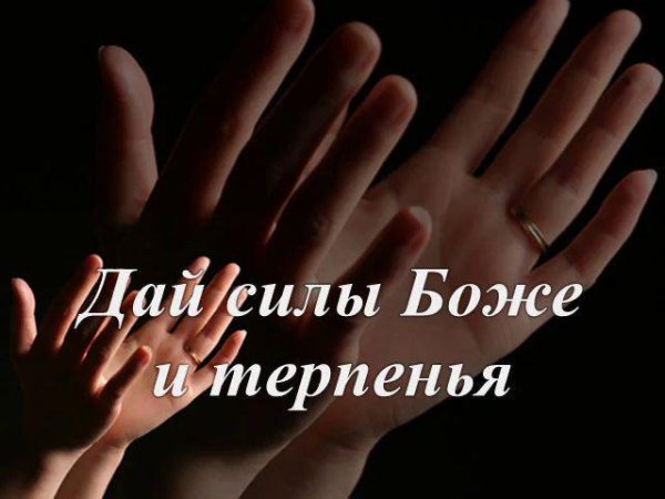 Сил вам и терпения