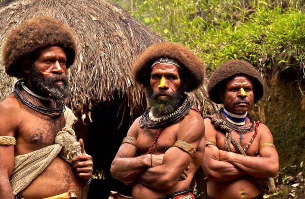 Папуа новая Гвинея Папуасы