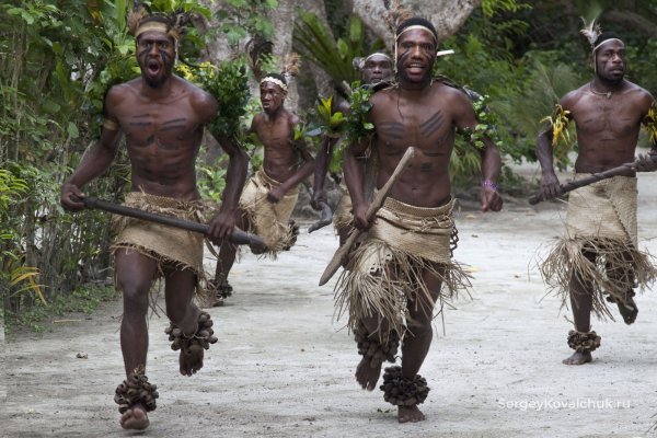 Калахари бушмены гепард