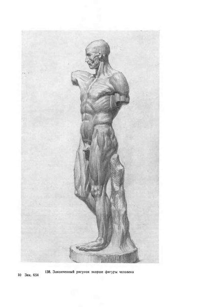 Экорше Гудона в полный рост