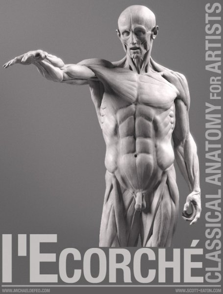Экорше Гудона в полный рост