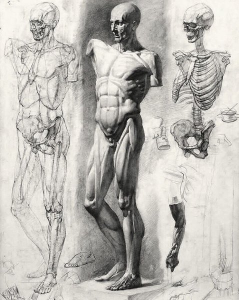 Экорше лучник Гудона