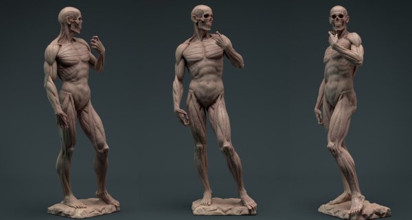 Экорше Микеланджело