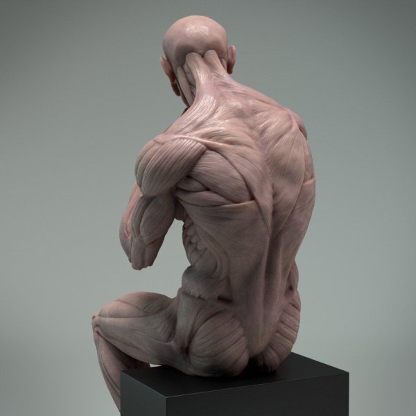 Экорше лучник Гудона