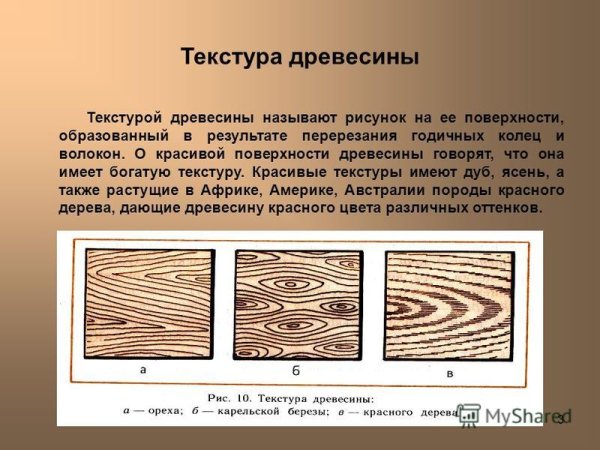 Что называют текстурой древесины