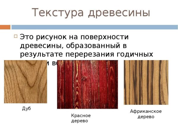 Картинки поверхности древесины (48 фото)