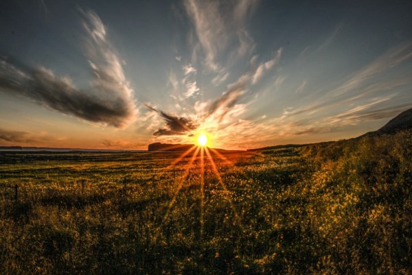 Солнцестояние природа