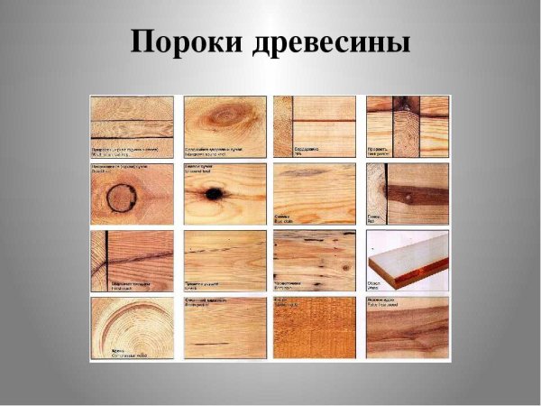 Пасынок порок древесины