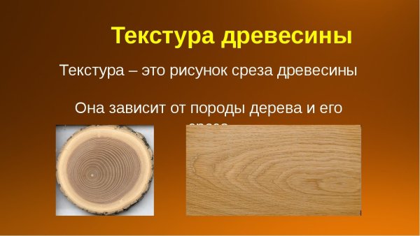Текстура дерева характеристика